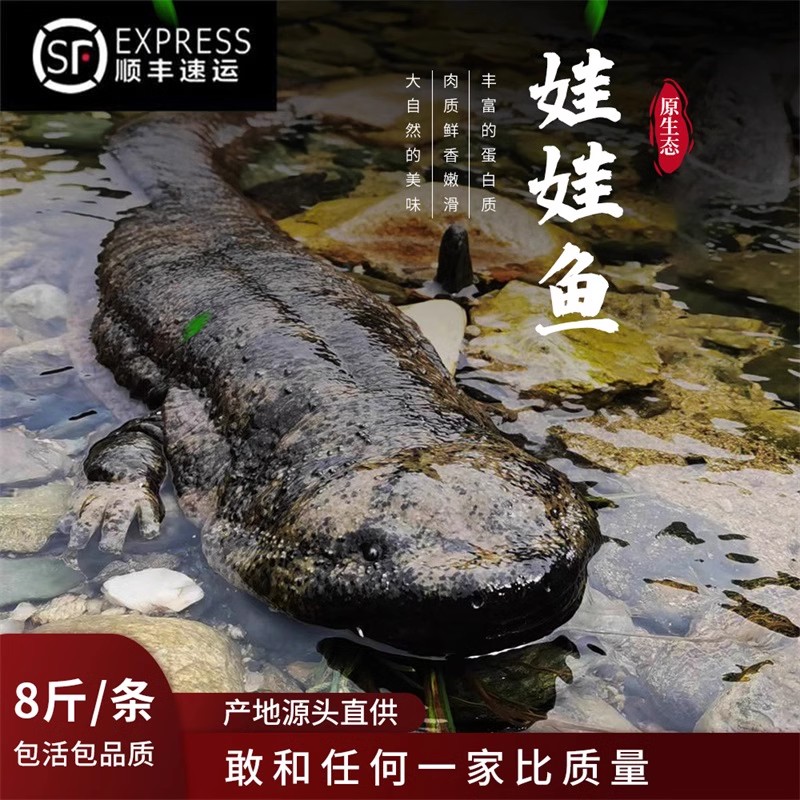 美仁蕉控股“百灵鸟（汉中）农业综合开发有限公司”
